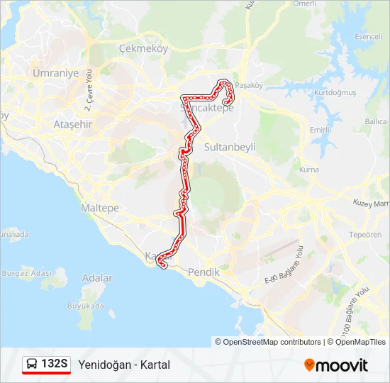 132S Bus Line Map
