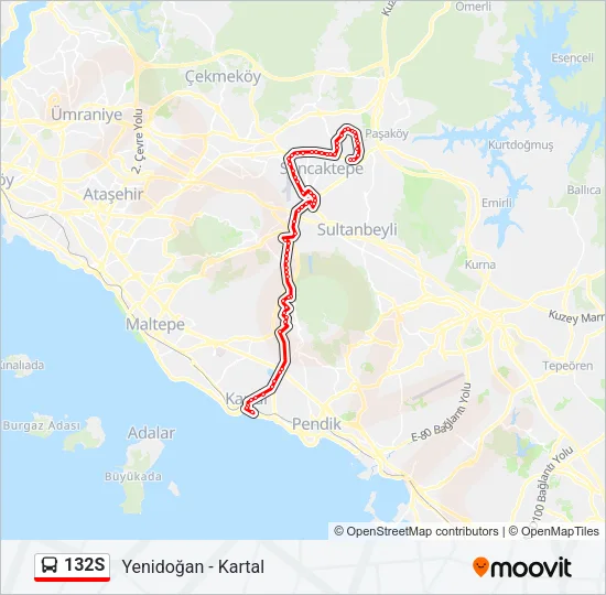 132S Bus Line Map