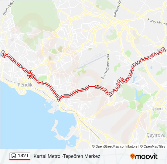 132T Bus Line Map