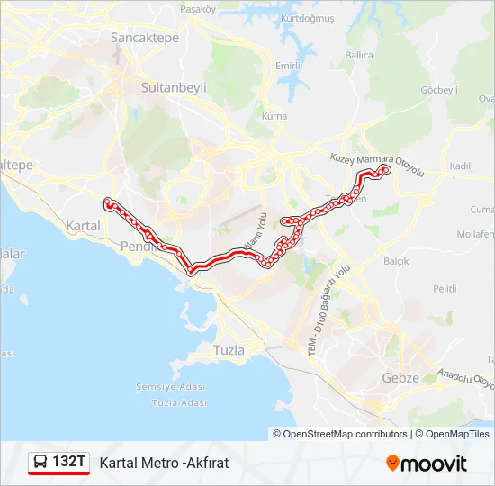 132T Bus Line Map