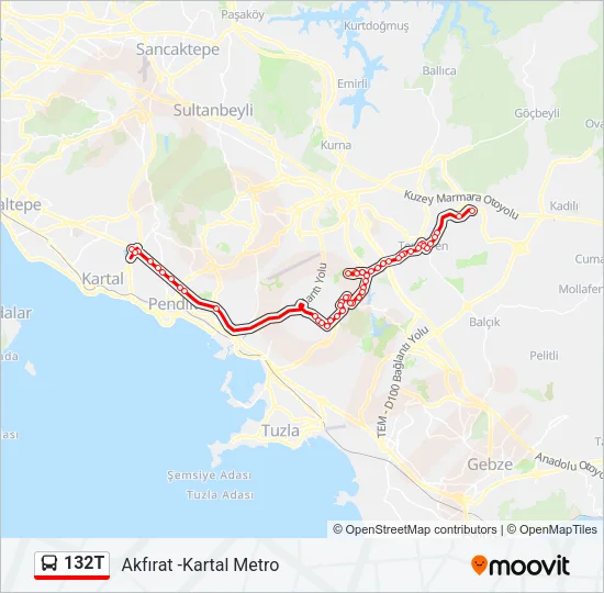 132T Bus Line Map