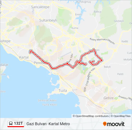 132T Bus Line Map
