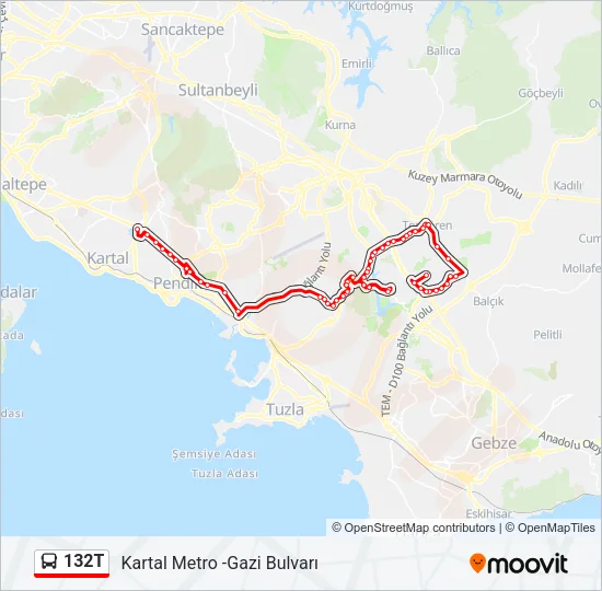 132T Bus Line Map