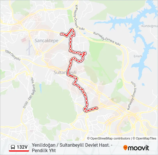 132V Bus Line Map