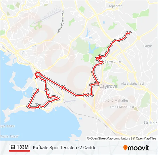 133M Bus Line Map