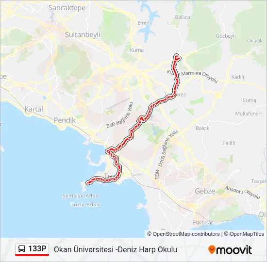 133P Bus Line Map