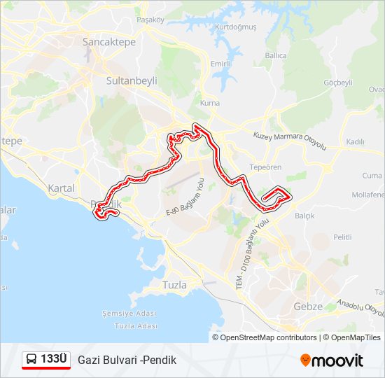 133Ü bus Line Map