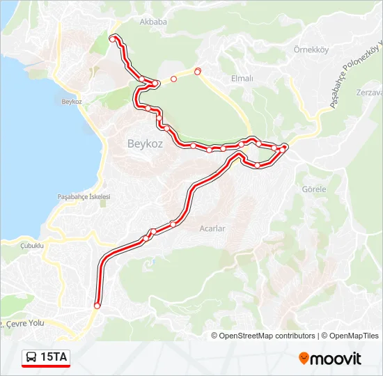 15TA Bus Line Map