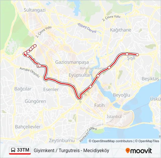 33TM Bus Line Map