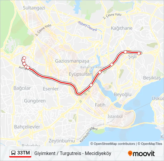 33TM Bus Line Map