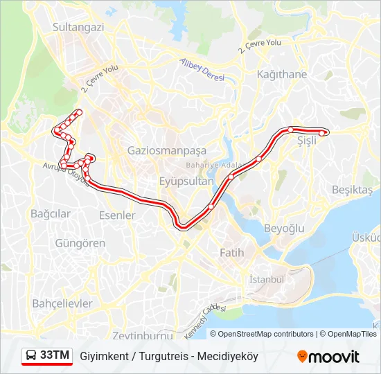 33TM Bus Line Map