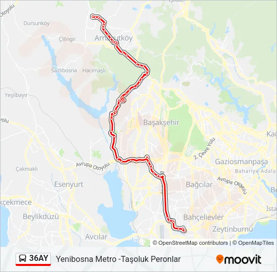 36AY Bus Line Map