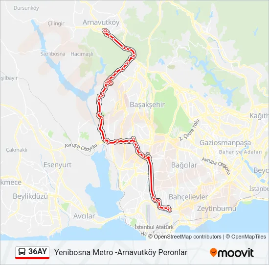 36AY Bus Line Map