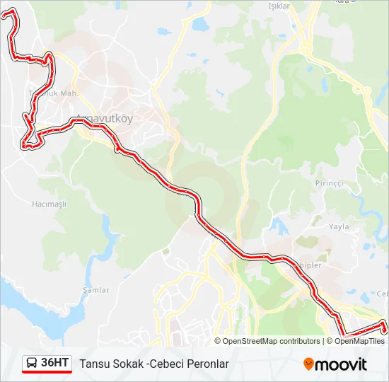36HT Bus Line Map