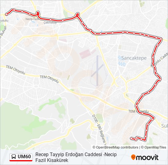 UM60 bus Line Map