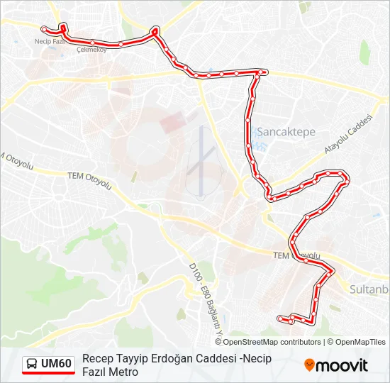 UM60 Bus Line Map