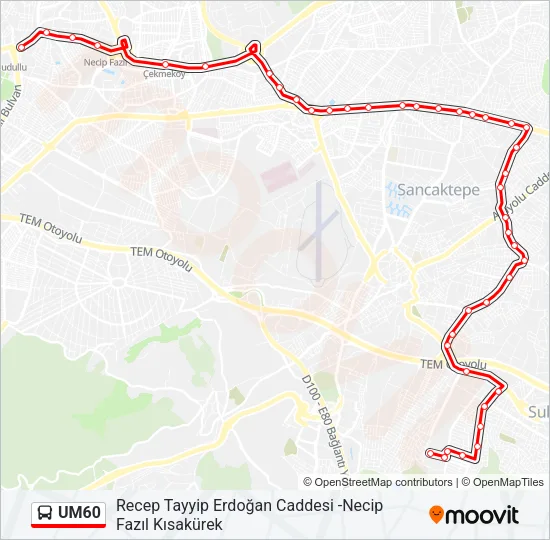 UM60 Bus Line Map