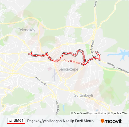 UM61 Bus Line Map