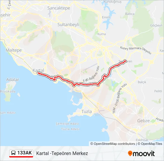 133AK Bus Line Map
