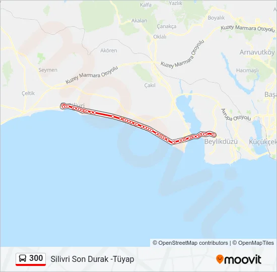 300 Bus Line Map