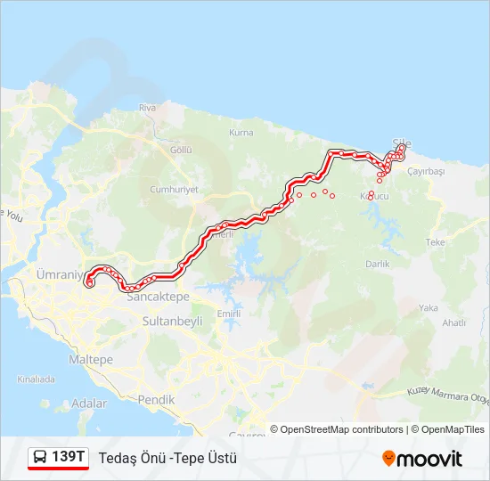139T Bus Line Map