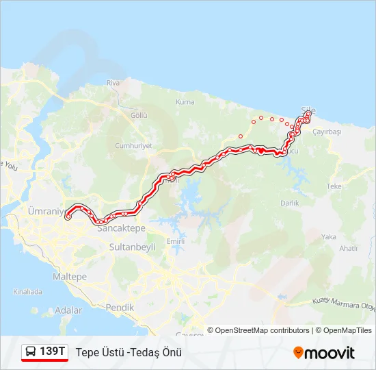 139T Bus Line Map