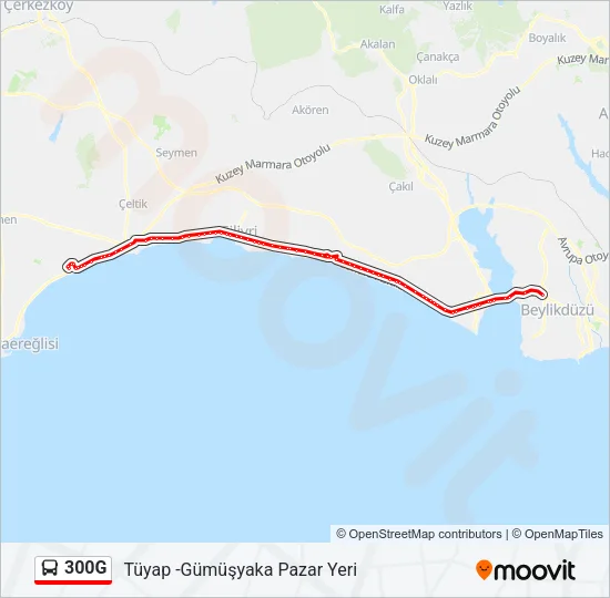300G Bus Line Map