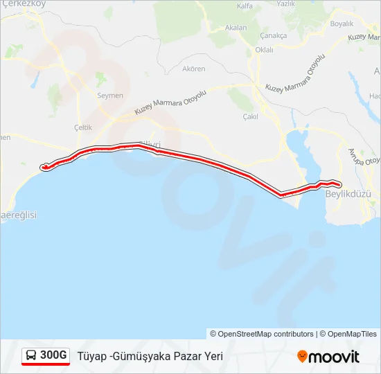300G Bus Line Map