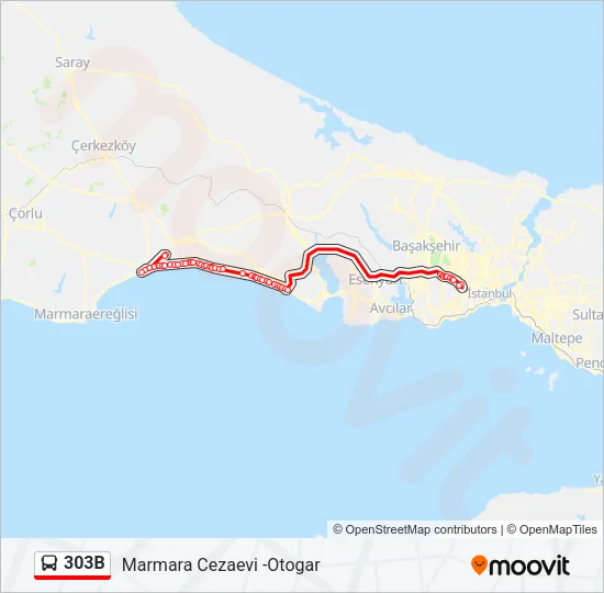 303B Bus Line Map