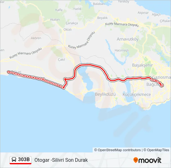 303B Bus Line Map