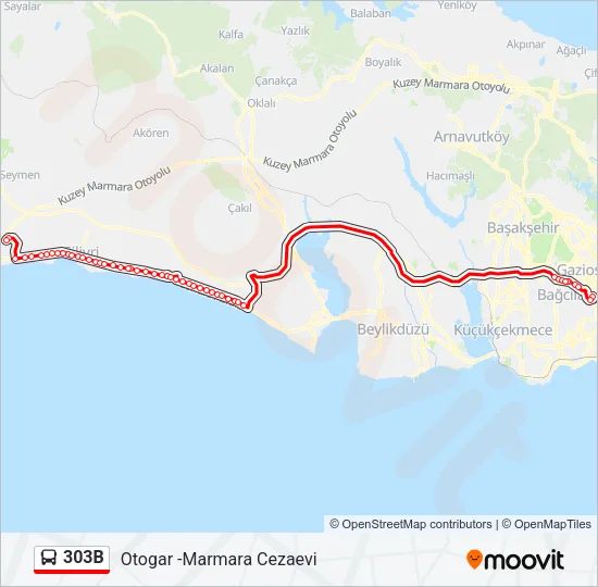 303B Bus Line Map