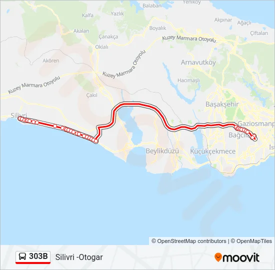 303B Bus Line Map