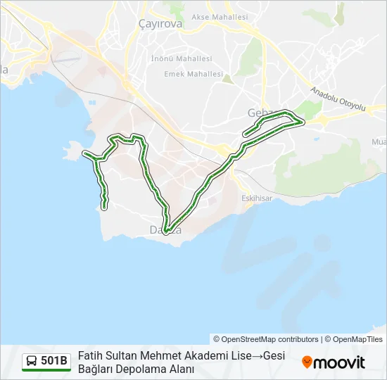 501B Bus Line Map