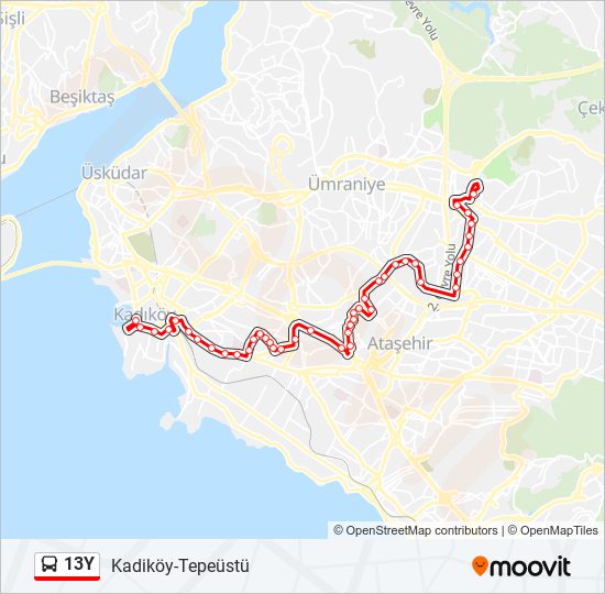 13Y bus Line Map