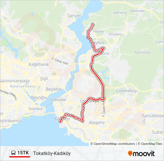 15TK Bus Line Map