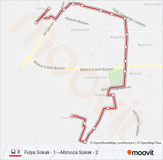 3 Bus Line Map