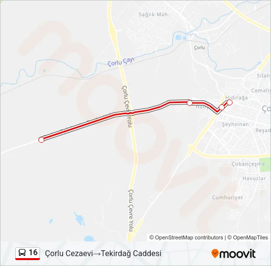 16 Bus Line Map