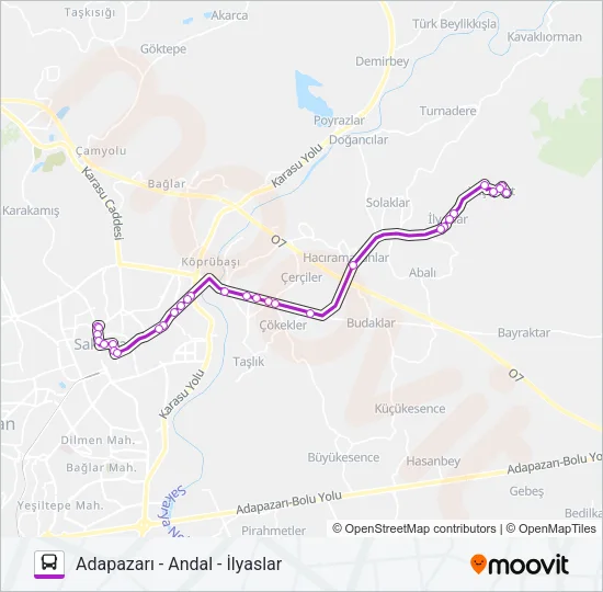 ADAPAZARI - ANDAL - İLYASLAR Bus Line Map