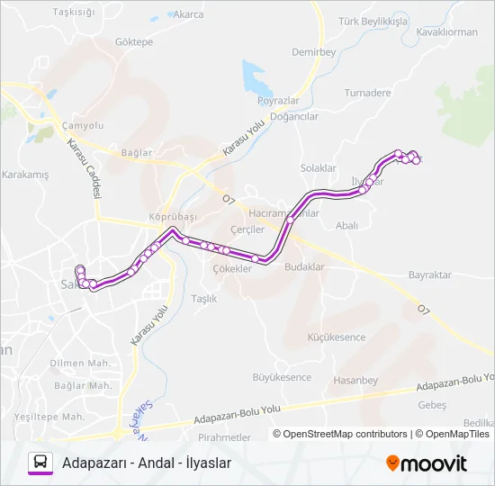 ADAPAZARI - ANDAL - İLYASLAR Bus Line Map