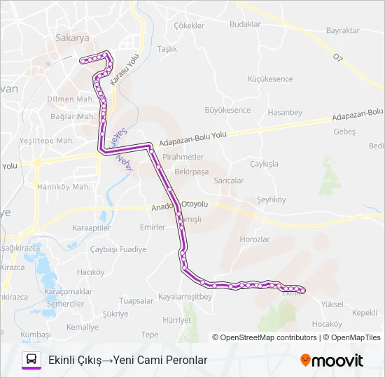 EKINLI - KAYALAR - YENI CAMII Bus Line Map