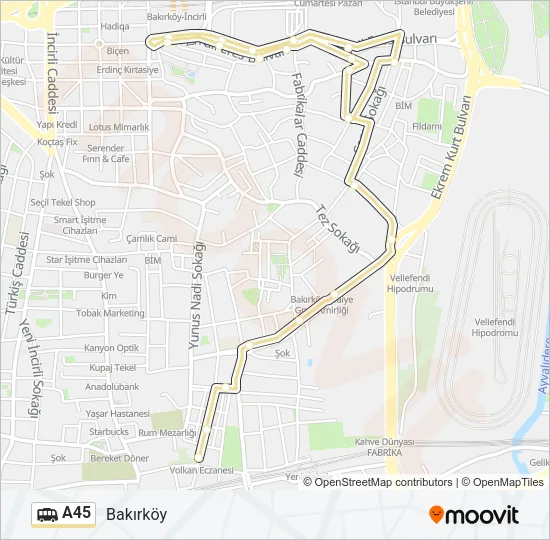 A45 Dolmus & Minibus Line Map
