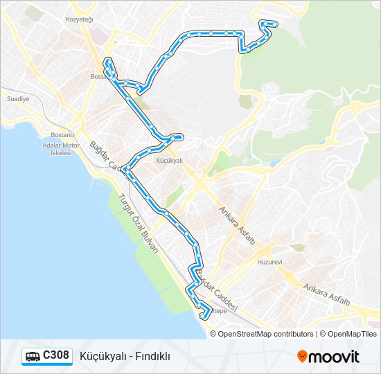 C308 Dolmus & Minibus Line Map