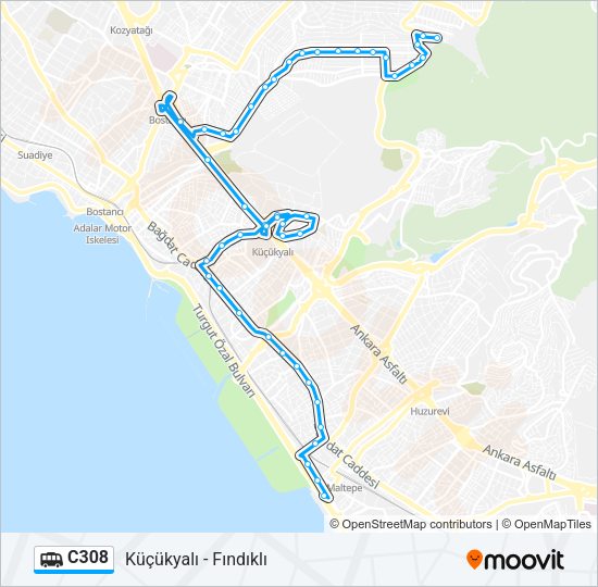 C308 Dolmus & Minibus Line Map