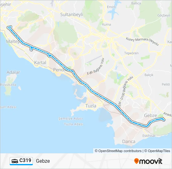 C319 Dolmus & Minibus Line Map