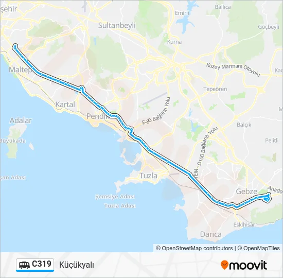 C319 Dolmus & Minibus Line Map