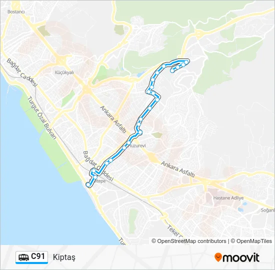 C91 Dolmus & Minibus Line Map