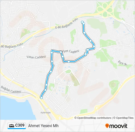 C309 Dolmus & Minibus Line Map