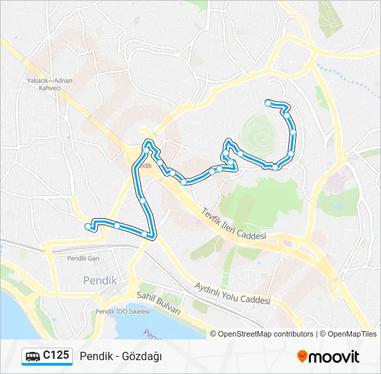 C125 Dolmus & Minibus Line Map