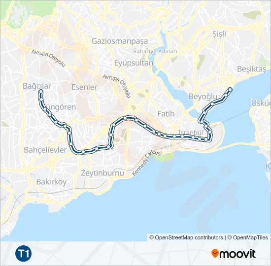 T1  Line Map