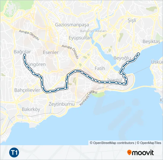 T1  Line Map